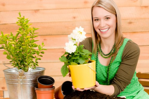 Healthy garden plants in Alperton with effective pest management